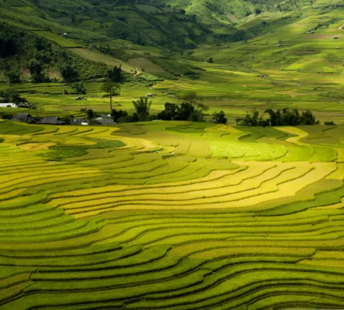 Sapa Scenic Discovery Tour